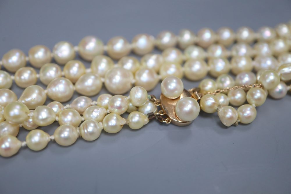 A triple strand cultured pearl necklace, with cultured pearl set yellow metal clasp, 51cm.